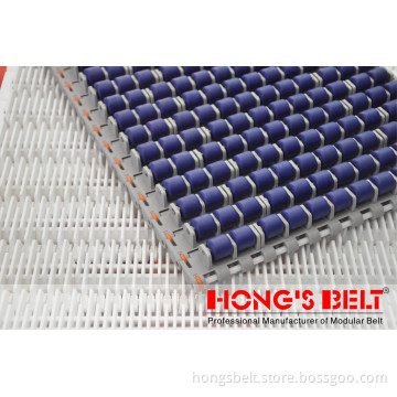 Food &Packaging Industry Modular Conveyor Belt